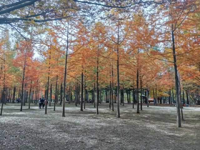 Nami Island
