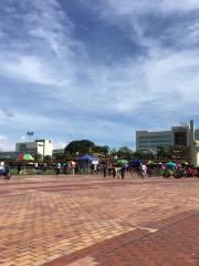 The National Square