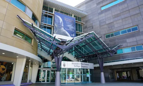 พิพิธภัณฑ์นิวซ๊แลนด์