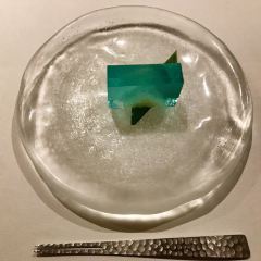 Minamishima User Photo