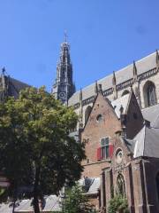 De Grote of Sint Bavokerk te Haarlem