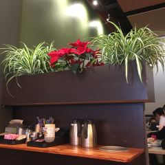 Kokopelli Cafe User Photo