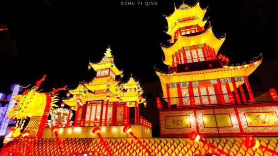 Charming Chinese Lanterns Gallery