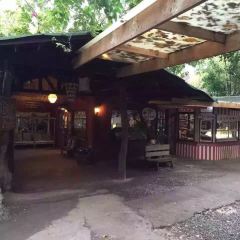 Bohol Bee Farm Resort User Photo