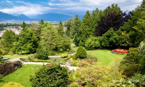 Queen Elizabeth Park