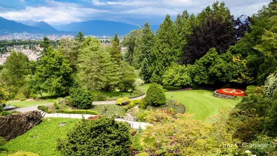 Queen Elizabeth Park