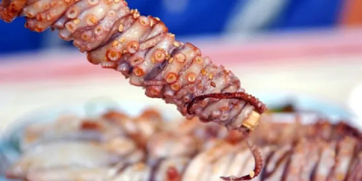 Jogeum Port Mud Flat Octopus