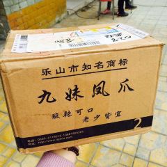 Jiumeifengzhao (leshanzong) User Photo