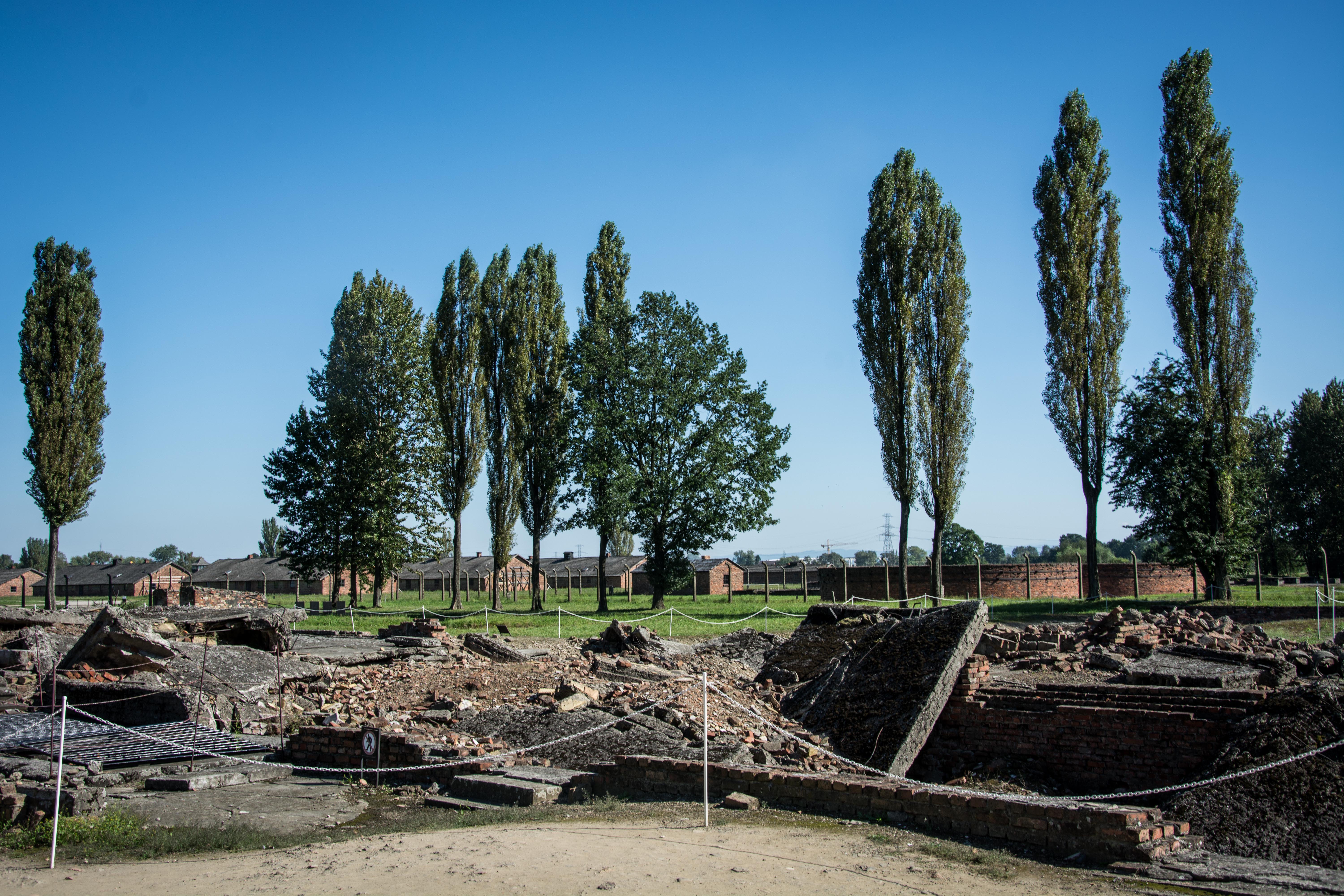 奧斯維辛集中營