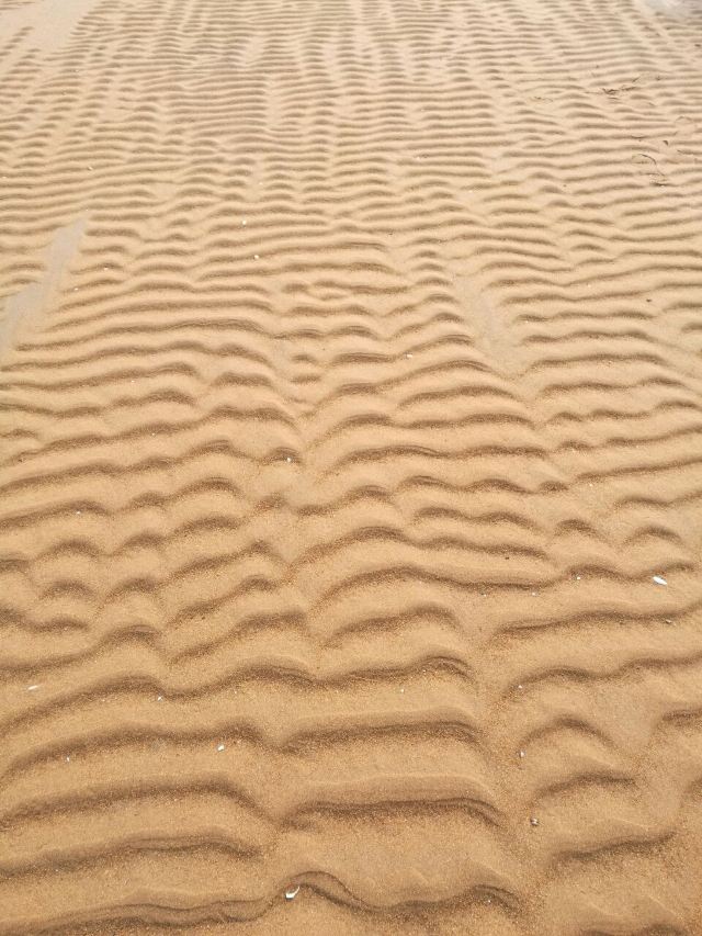 홍하이탄