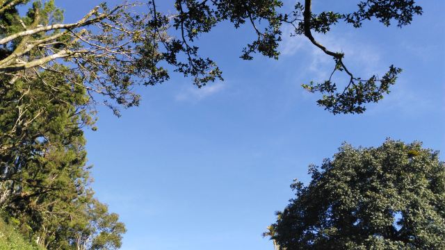 예수당