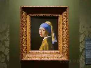 Real Pinacoteca Mauritshuis