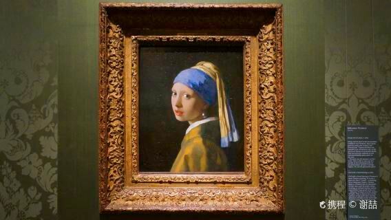 荷蘭阿姆斯特丹+海牙+鹿特丹+莫瑞泰斯皇家美術館一日遊