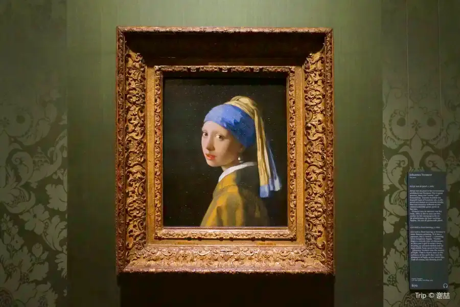 La Mauritshuis