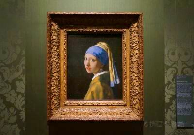 The Mauritshuis Royal Picture Gallery