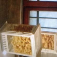 Dal Moro's Fresh Pasta to Go User Photo