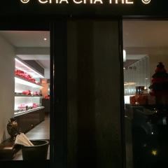 Cha Cha The User Photo