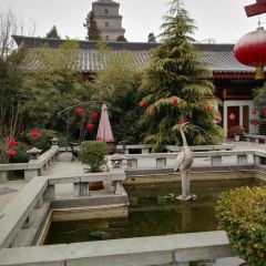 Tang Dynasty Art Garden Hotel Xi'an Shanxi Guan Fu Cuisine User Photo