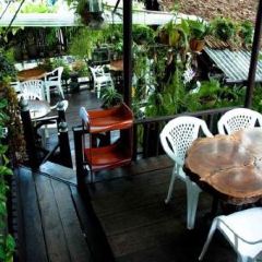 Jatujak Gallery & Restaurant張用戶圖片