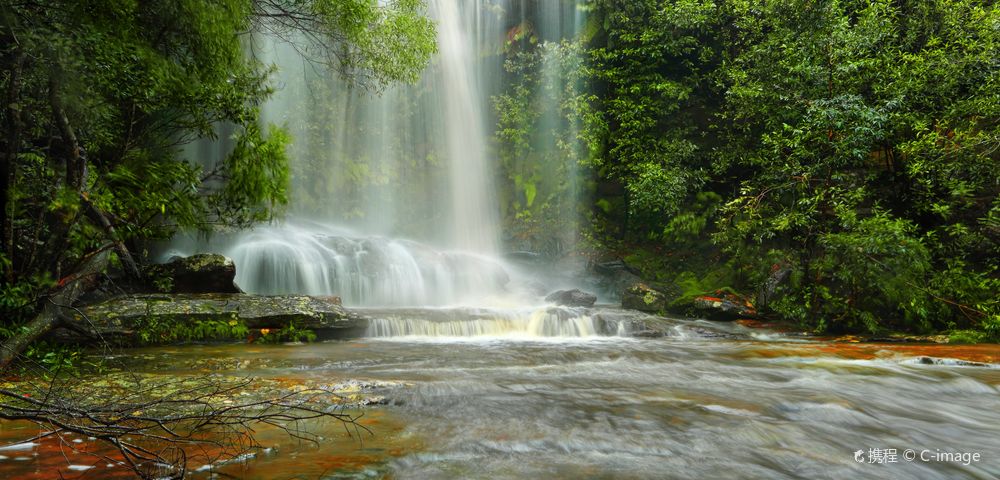 Royal National ParkTours