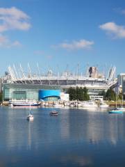 Estadio BC Place