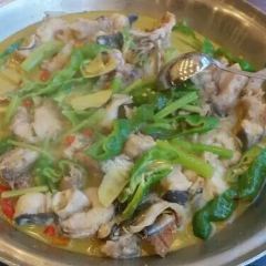 RICE & FISH 여행 사진