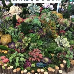 Rong Yi (Kai De Plaza) User Photo