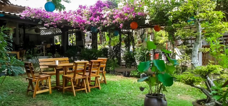 Patty's Secret Garden
