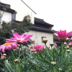 绍兴大禹开元观堂·禹家大院 User Photo