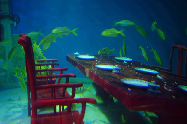 Changfeng Ocean World