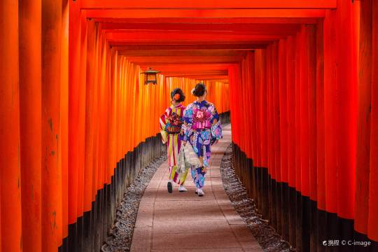 Fushimi Inari Taisha Shrine + Senbon Torii + Kyoto Station + Kamogawa One-day Tour in Kyoto, Japan