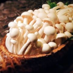 壹家海派老火锅(爱建店) User Photo