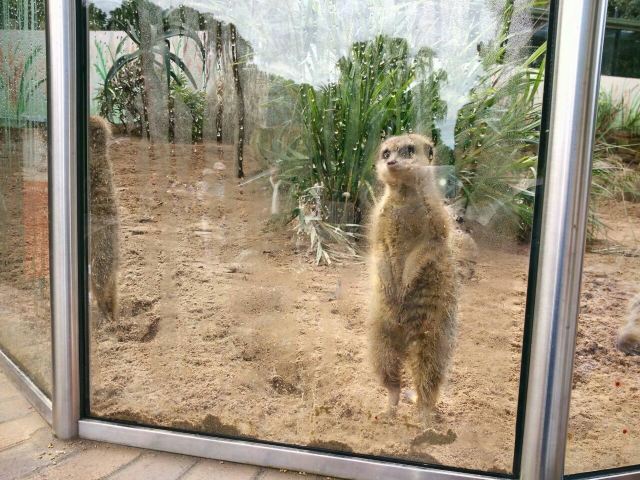 Taronga Zoo