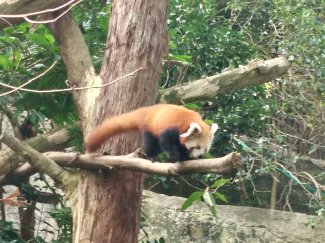 Taronga Zoo