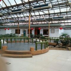 Weiyou·xiamenwei (guankou) User Photo