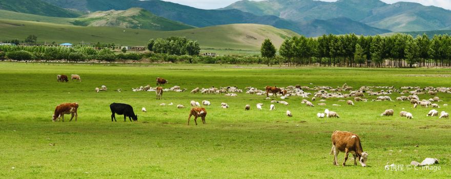 Inner Mongolia