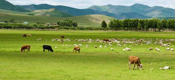 中國內蒙古的民宿