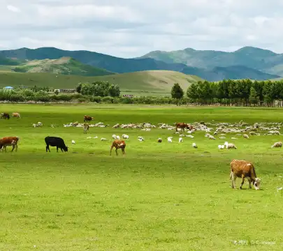 Hot Springs Hotels in Inner Mongolia, China