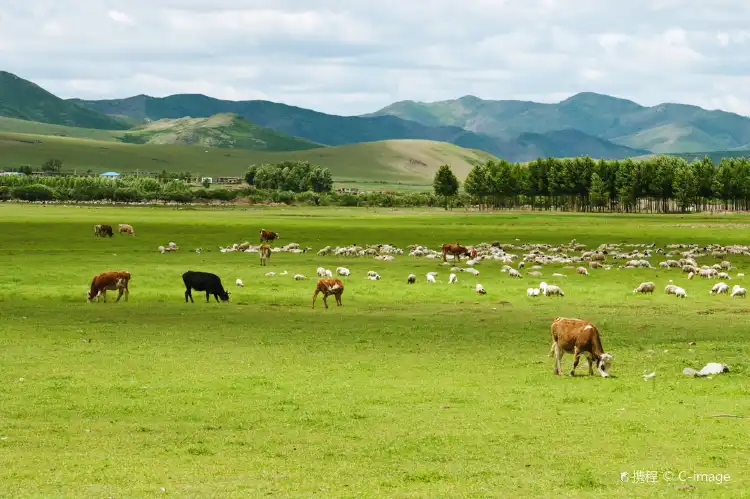 โรงแรมพร้อมWifiในมองโกเลียใน จีน