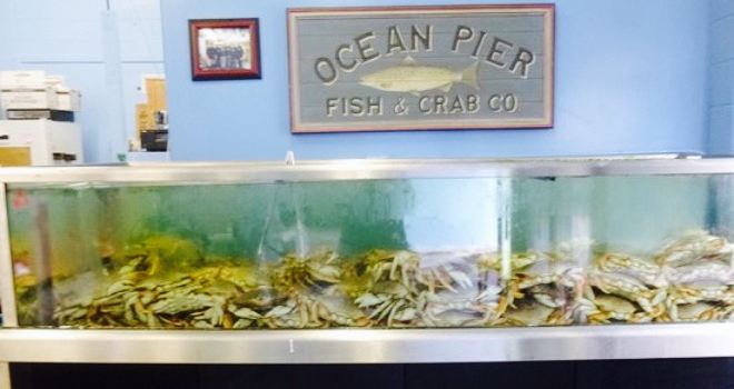 Olympia Seafood Co