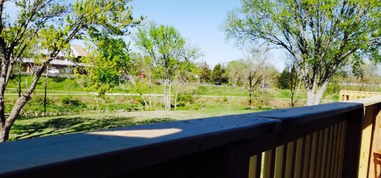 Treehouse Pub & Eatery