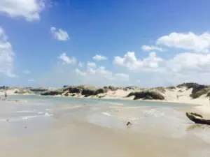 Kalu Beach Life