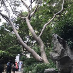 Shanghai You Garden 上海豫园 User Photo