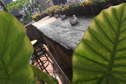 嵊泗大魚咖啡館