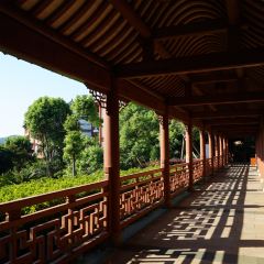 PU TUO SHAN XIANG SHENG DA JIU DIAN User Photo