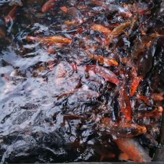 Yuquanyuan User Photo