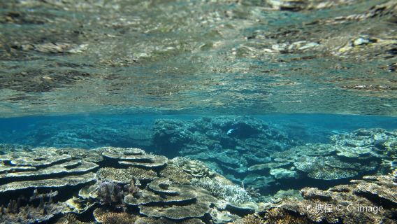 Yabiji Marine Park