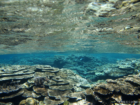 Yabiji Marine Park