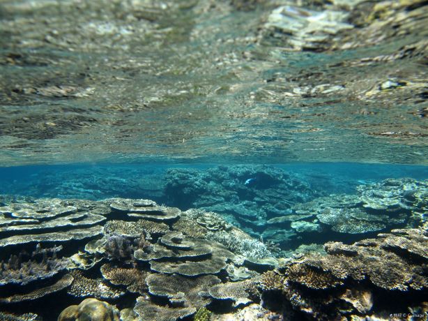 Yabiji Marine Park