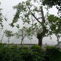 Xinghu Yujing User Photo